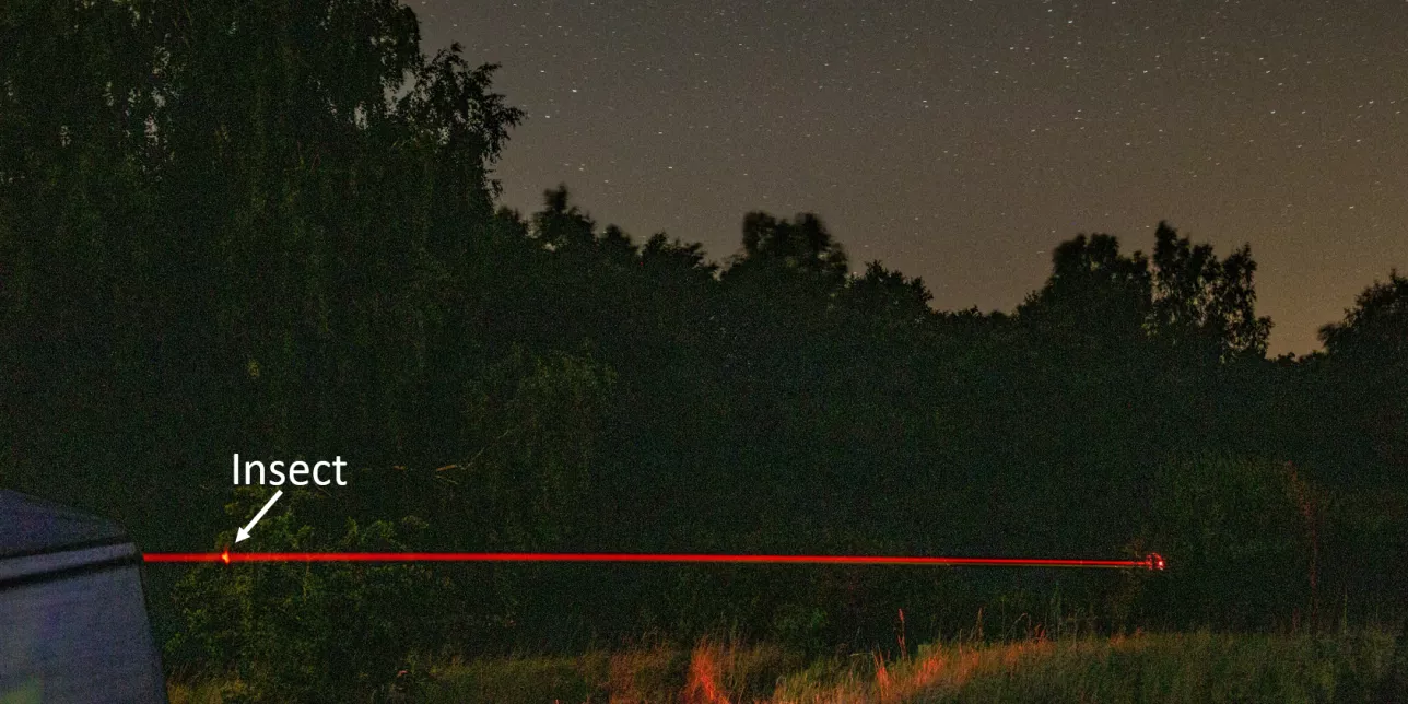 Stars and trees in the background and a red line in the foreground. Picture.